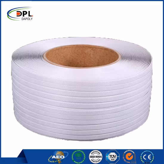 工場 PP ポリプロピレン ウェビング PP ストラップショルダーストラップ用カラフルなウェビング良い販売